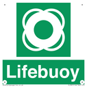 lifebuoy-with-symbol~